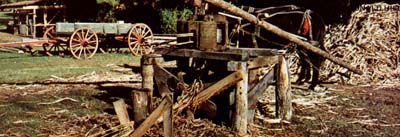 Shown is an old-fashioned sorghum mill fueled by mule power. Read on to learn how it works.